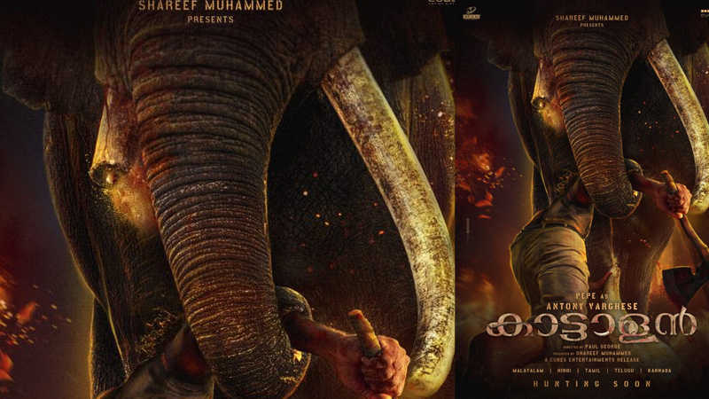 തായ്ലൻഡിൽ നടക്കുന്ന ‘കാട്ടാളൻ’ സിനിമയുടെ ഷൂട്ടിനിടയിൽ ആന്റണി വർഗ്ഗീസിന് പരിക്ക്